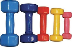 MDS Vinyl Vinyl Dumbbell 1 x 2kg