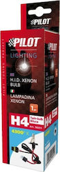 Lampa Λάμπα Αυτοκινήτου & Μοτοσυκλέτας HID Xenon Bulb 12V 4300K H4 Xenon 4300K Φυσικό Λευκό 12V 1τμχ