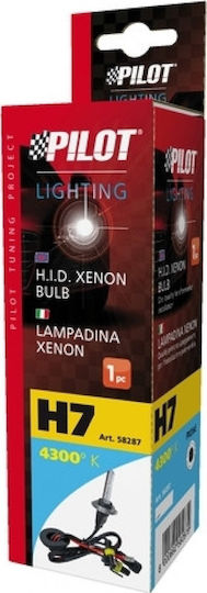 Lampa Λάμπα Αυτοκινήτου & Μοτοσυκλέτας HID Xenon Bulb 12/24V 4300K H7 Xenon 4300K Φυσικό Λευκό 12-24V