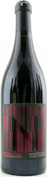 Anatolikos Vineyards Organic Red Dry 750ml Anatolikos Vineyards Organic Red Dry 750ml