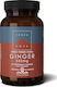 TerraNova Ginger 350mg 50 κάψουλες