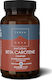 TerraNova Natural Beta Carotene Complex Βιταμίνη για τα Μαλλιά, τo Δέρμα & Αντιοξειδωτική δράση 325mg 50 φυτικές κάψουλες
