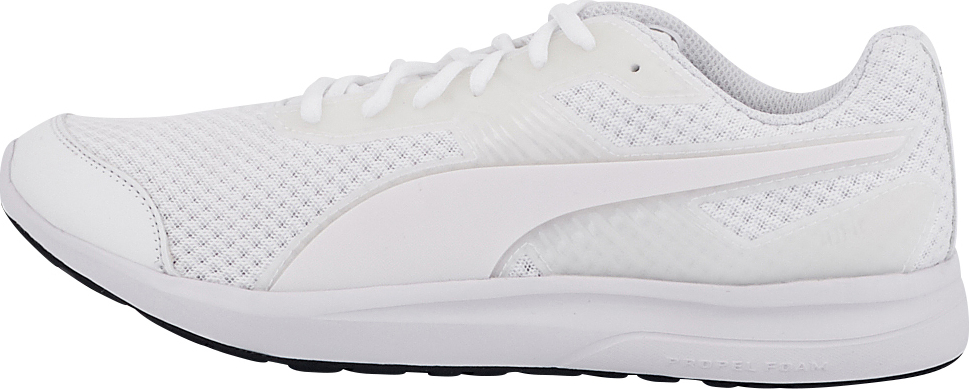 puma 364259