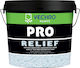 Vechro Pro Relief Plastic Relief Acrilyc Paint for Interior and Exterior Use White 5lt