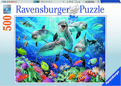 Dolphins Puzzle 2D 500 Pieces