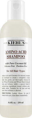 Kiehl's Amino Acid Shampoos for All Hair Types 250ml