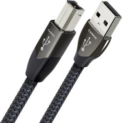 Audioquest Carbon