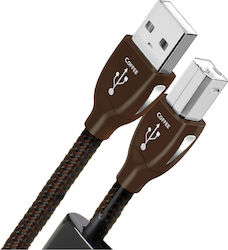 Audioquest Coffee USB 2.0 USB-A-Stecker zu USB-B-Stecker 1,5m