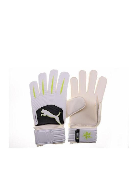 PUMA Power Cat Gloves 3.10 Γάντια Τερματοφύλακα Ενηλίκων Λευκά