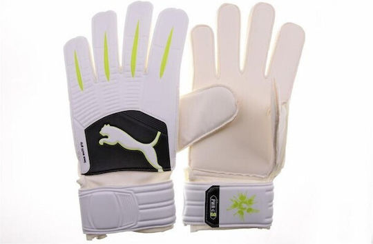 PUMA Power Cat Gloves 3.10 Adults Goalkeeper Gloves White