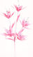 Keskor Artificial Decorative Branch Pink 1pcs 021603-1