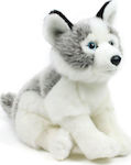 WWF Plüschhund Husky 23 cm