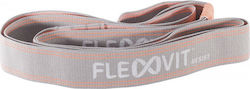 FlexVit 40517 Loop Resistance Band Light Gray