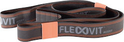 FlexVit 40518 Loop Resistance Band Gray