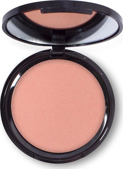 Elixir Руж Silky Long Lasting 12гр