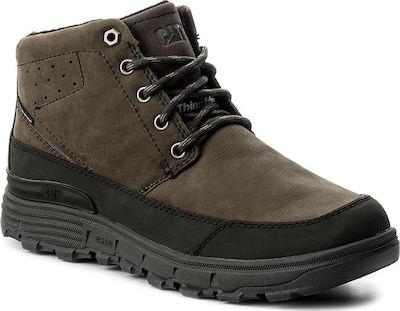 cat drover wp