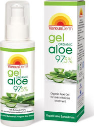Accelere Pharm VerousDerm Gel Organic Aloe 97,5% Gel Σώματος 100ml Accelere Pharm VerousDerm Gel Organic Aloe 97,5% Gel Σώματος 100ml