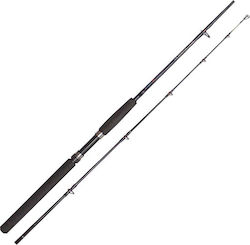 Oceanic Cardinal for Jigging 2.10m 100-200gr OC.02CARD Oceanic Cardinal for Jigging 2.10m 100-200gr OC.02CARD