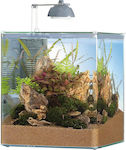 Eheim Nano Aquastyle 35 Aquarium mit einer Kapazität von 35Es mit Beleuchtung, Filter und 31x31x36cm.