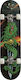 AMILA Skatebird+ Dragon 7.87" Complete Shortboard Πολύχρωμο