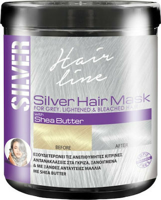 Yanni Extensions Silver Mask Masca de păr pentru Păstrarea Culorii 1000ml