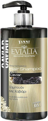 Yanni Extensions Caviar Shampoos für Alle Haartypen 1x500ml