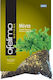 MyMedica Ofelimo Herbs Μέντα 40gr