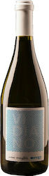 Oenops Wines Vin Alb Sec 750ml
