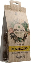 Vio Agros Aroma Fysis St. John's Wort Balsamwor...