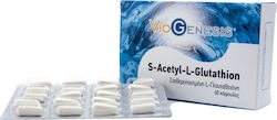 Viogenesis S Acetyl L Glutathion 60 Capsules Unflavoured