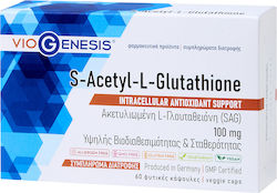 Viogenesis S Acetyl L Glutathion 60 Κάψουλες Unflavoured Viogenesis S Acetyl L Glutathion 60 Κάψουλες Unflavoured
