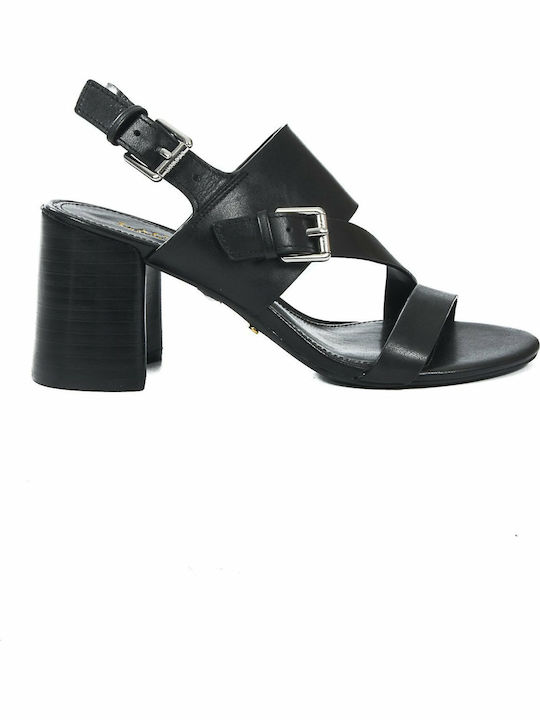 Ralph lauren florin hot sale