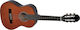 Gewa Concert Basic Kids Classical Guitar 1/2 Honey