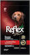 Reflex Plus Senior Medium/Large 15kg Dry Food for Senior Neutered Medium & Large Breed Dogs with Lamb