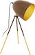 Eglo Chester 1 Office Lighting Banker for E27 Socket in Gold Color