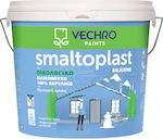 Vechro Smaltoplast Silicone Plastic Ecological Acrilyc Anti-Mildew Paint for Exterior Use White 3lt