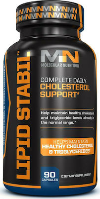 Molecular Nutrition Lipid Stabil 90 caps