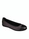 Scholl Akita Lederne Damen Ballerinas in Gray Farbe