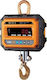 CAS Caston I Electronic Professional Hanging Scale with Weighing Capacity of 2000kg and Division 1000gr