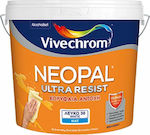 Vivechrom Neopal Ultra Resist Plastic Vopsea pentru Utilizare Intern 1lt