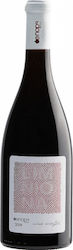 Oenops Wines Vin Roșu Sec 750ml