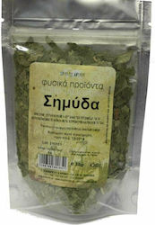 HealthTrade Birke