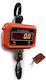 Electronic Professional Hanging Scale with Weighing Capacity of 3000kg and Division 1000gr