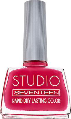 Seventeen Studio Rapid Dry Lasting Color 16