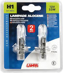 Lampa Lămpi Autoturismului Halogen Lamp H1 Halogen 12V 55W 2buc