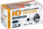 Lampa Λάμπες Αυτοκινήτου Long Life Halogen Lamp H7 Αλογόνου 24V 70W 10τμχ