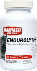 Hammer Nutrition Endurolytes 120 caps