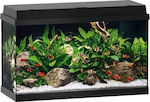 Juwel Primo 60 LED Μαύρο Fish Aquarium Capacity 60lt with Lighting, Heater, Circulator and 61x31x37cm. Black