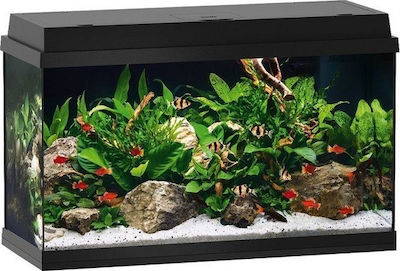 Juwel Primo 60 LED Μαύρο Aquarium mit einer Kapazität von 60Es mit Beleuchtung, Heizung, Pumpe und 61x31x37cm. Schwarz