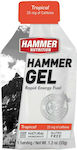 Hammer Nutrition Hammer Gel Tropisch 33gr